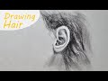 How to draw the hair around the ear with charcoal