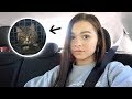 Taking Bella To The New Apartment! + Unexpected Vet Visit