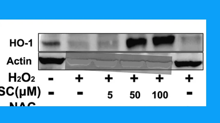 258B00E8B6D232C0AB4DCE36EC00A3#2