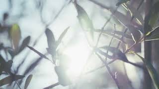 Givaudan Ray of Light