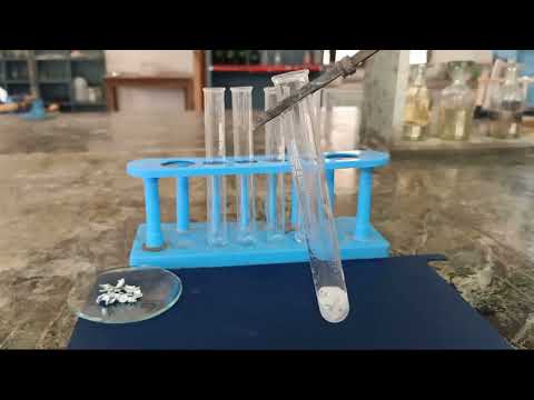 9th Science Experiments Class 9th/Science experiment/New Way Publication - YouTube