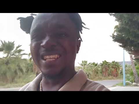 They Were Celebrating Dancing Laughing Were Their Go Their Told Them That Very You Until Waiting 