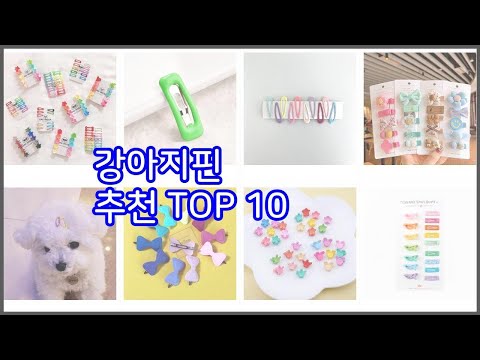 강아지핀 추천 베스트 구매자들이 선택한 품질 좋은 상품 10가지
