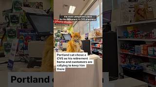 A Portland cat chose a CVS as his retirement home, and the customers are rallying to keep him there