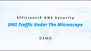 DNS Traffic Under the Microscope