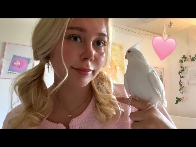Bird Tries ASMR 🦢 MY NEW BIRD 💗