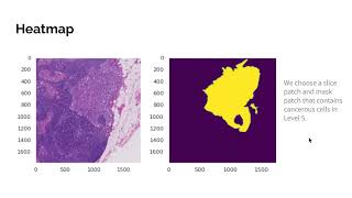 Multi-zoom Level Parametric Study