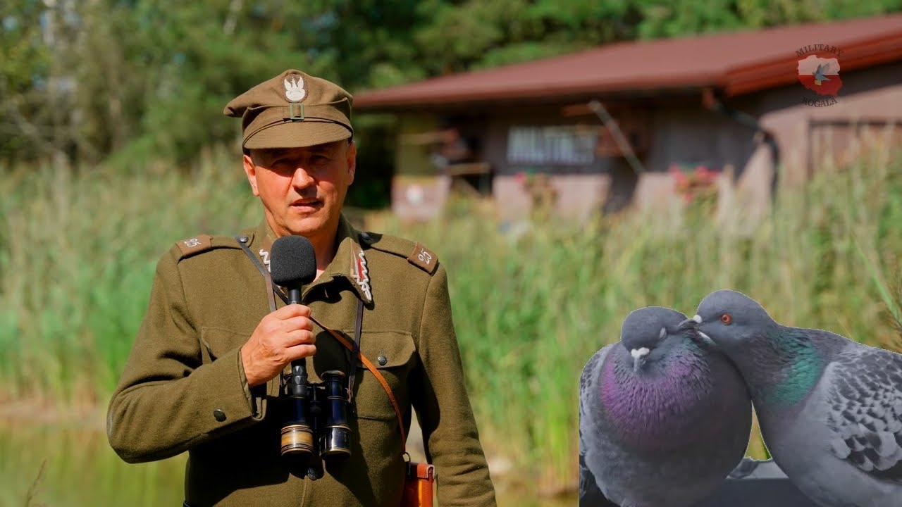 Gołąb odwiedził mnie po trzech latach. Będzie hit