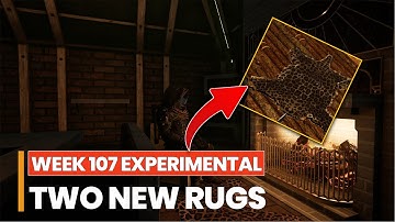 ICARUS WEEK 107  Update - TWO New RUGS!