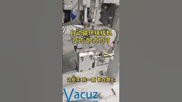 Vacuz Fully Automatic Differential Mode Toroidal Coil Hook Winding Machine For Sale