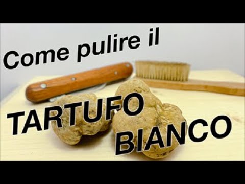 Come pulire il Tartufo Bianco (Tuber Magnatum Pico)