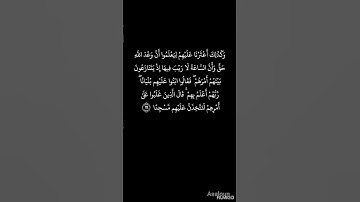 سوره الكهف هزاع البلوشي 🤍 🌱 #المصحف #راحة_نفسية