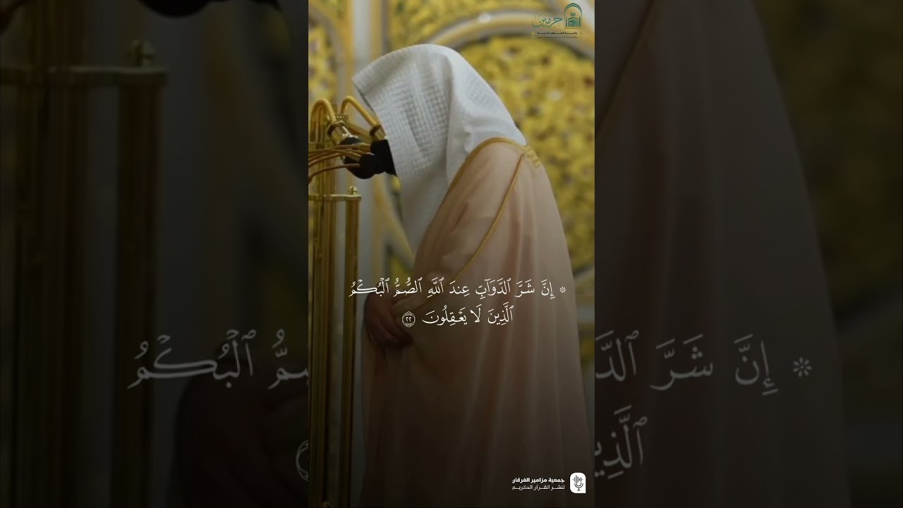 مقتطف من تلاوة فضيلة الشيخ #عبدالمحسن_القاسم من صلاة التراويح ليلة ١٢ رمضان ١٤٤٦هـ