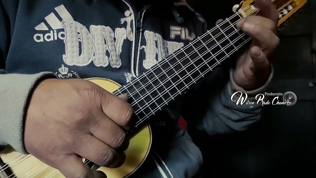 チャランゴ Jorge Luis Rodriges No.496 Venta de Charango - YouTube