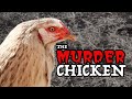 The Story of Margie the Murder Chicken