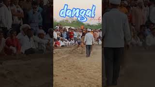 Kallu Kosi Ki Chita Jesi Kustikla Jung Pr Kiya Chitdhovi Dab viralyoutube Shorts kashot