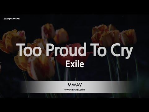 <strong>Exile</strong>-Too Proud To Cry (Melody) [ZZang KARAOKE]