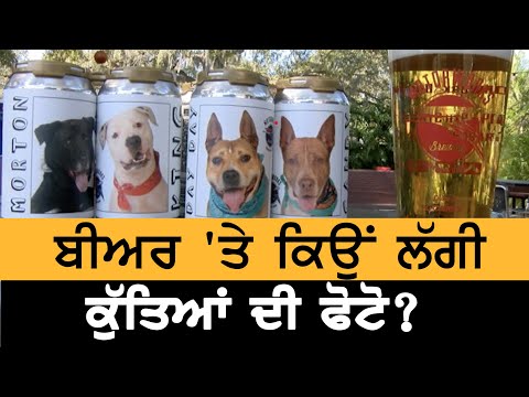 Beer cans `ਤੇ ਕਿਉਂ ਲੱਗੀ ਕੁੱਤਿਆਂ ਦੀ ਫੋਟੋ