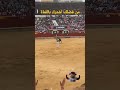 حركات مصارع ثيران