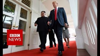 Trump Kim summit: What is the agenda? - BBC News