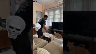 Agi asyik asyik kouh ya cing #mozinkchannel