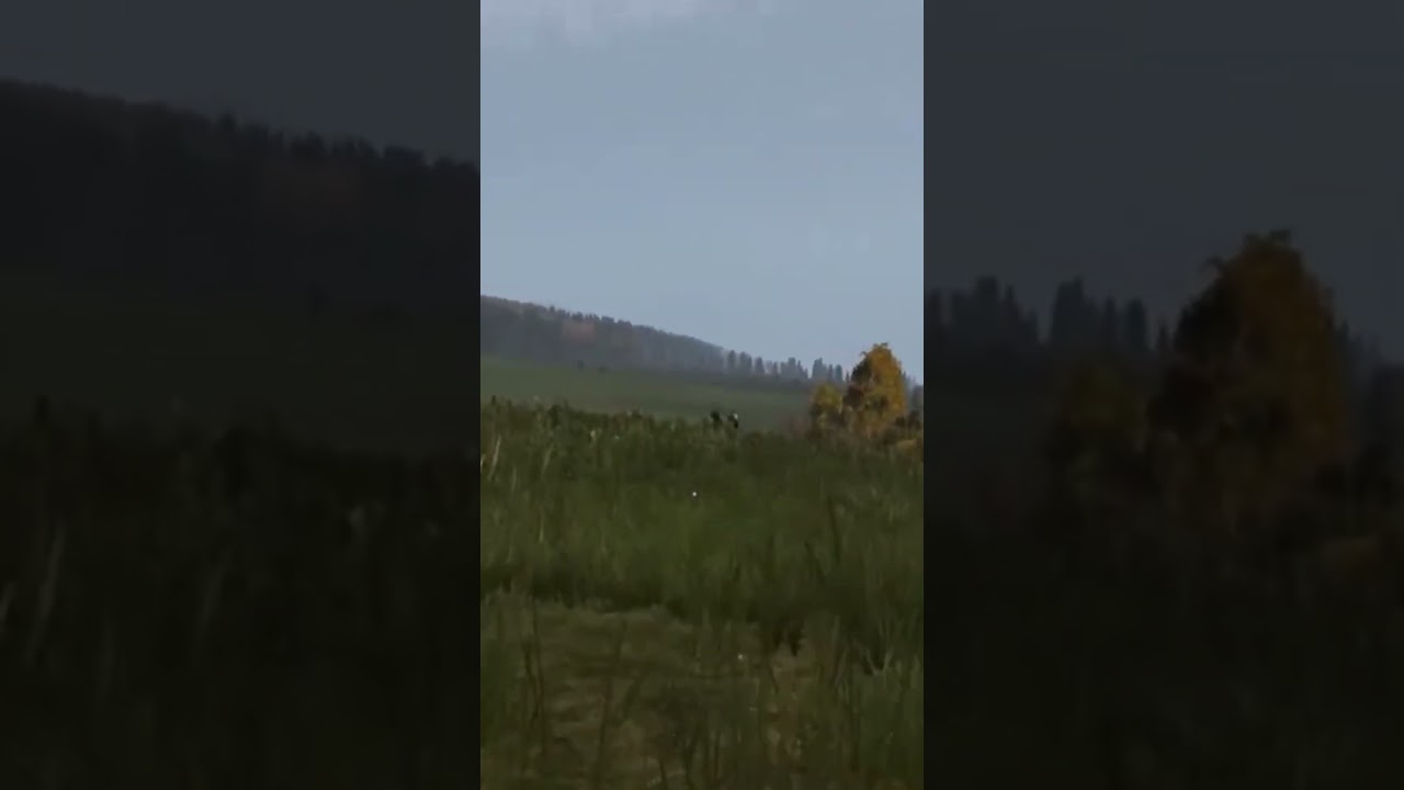 PERFECTLY TIMED DAYZ MOMENT #dayz #dayzpvp #dayzgamers #dayzgameplay