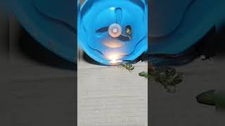 mirch kaatne ke liye desi jugaad machine math ka sandesh chhodane experiment #experiment