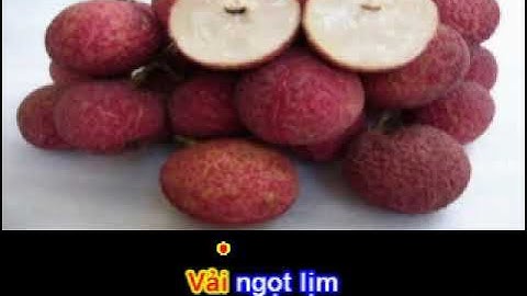 VẢI THIỀU LỤC NGẠN BẮC GIANG QUÊ TÔI - Sáng Tác: Hải Anh Karaoke