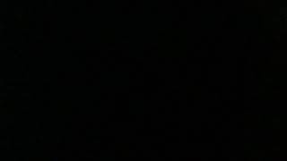 IMG 0951