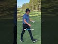 Scratch Golfer vs Pro Golfer