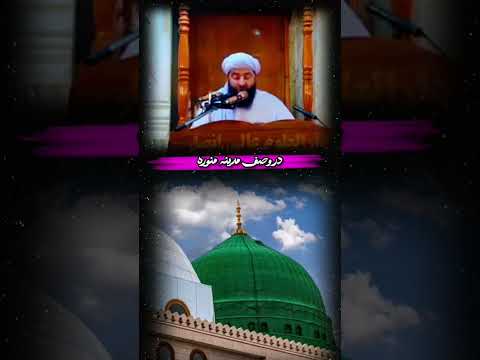 در وصف مدینه الرسول ای کاش بینم د ر و دیوار مدینه