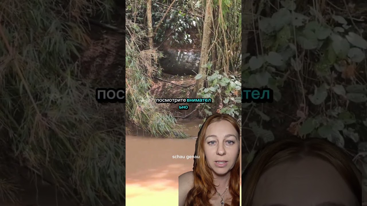 новости  срочно 