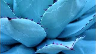 01 Mika Vainio - Kelvin [Touch]