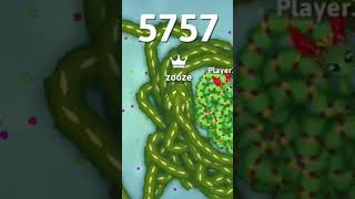 Snake.io Camelia Dragon vs Forest Snake