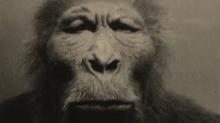 Download Lagu YEREN | THE CHINESE WILDMAN | Bigfoot Mystery | MBM 140 MP3