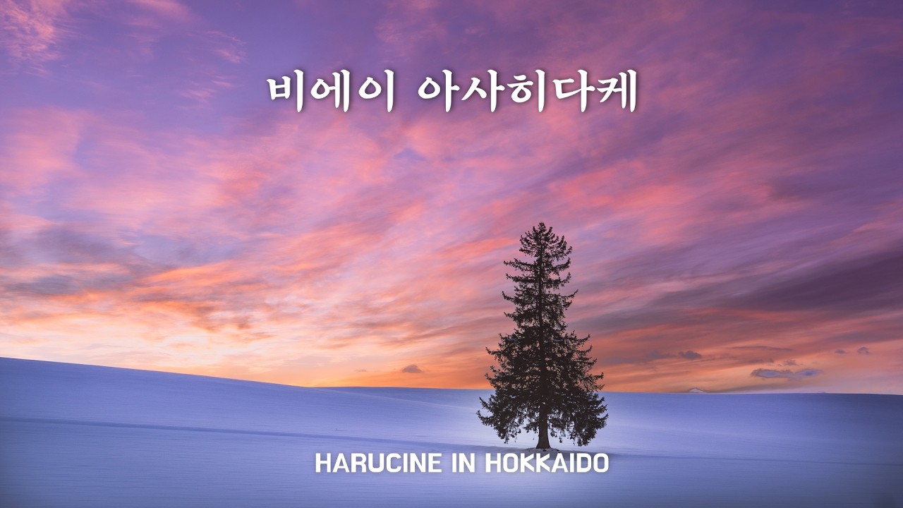 천천히 흘러가는 홋카이도 비에이 여행🚞 | 하루씨네 VLOG
