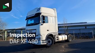 DAF XF 480 - 2022 - BAS World