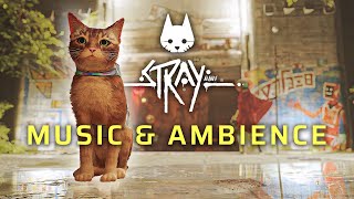 Stray Music & Ambience  The Slums