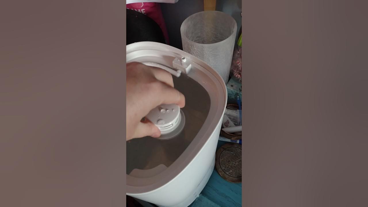 review of comfort zone humidifier YouTube