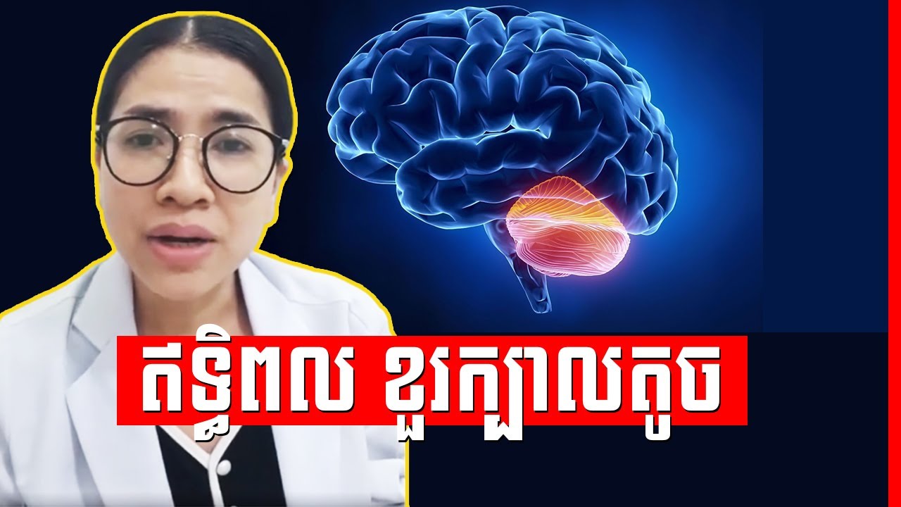 តួនាទីរបស់ខួរក្បាលតូច , Cerebellum Dr. Kaknika