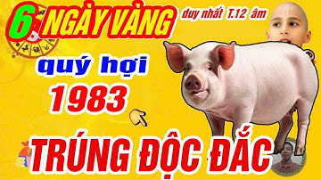 🔴 Chấn động: 6 Ngày Vàng Đại Cát Tháng 12 Âm Lịch 2024, Quý Hợi 1983 Trúng Lớn, Bão Lộc Tràn Về