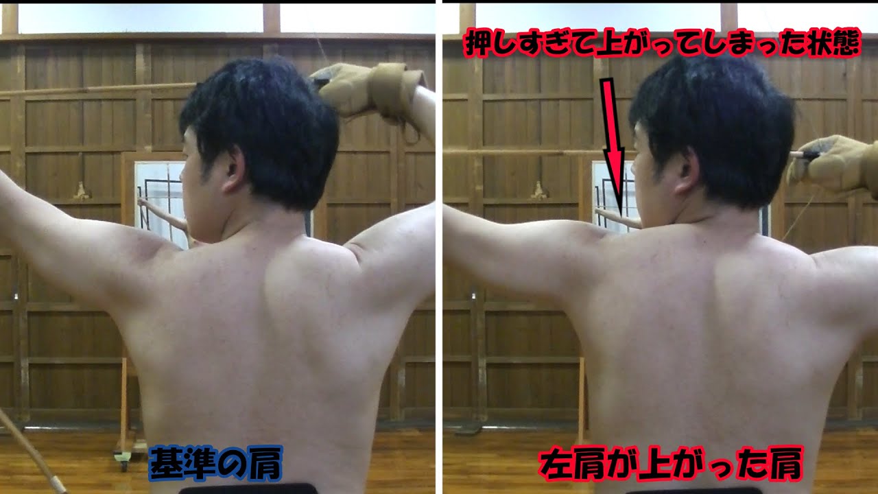 打ち起こし・引き分けの肩の動きを背後から確認してみました。