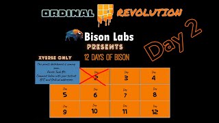 12 Days of Bison - Quick Tutorial Day 2