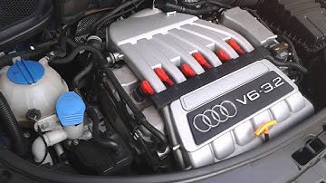 Audi A3 3.2 Chain Noise?