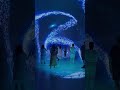 Step into a space where reality slowly fades away