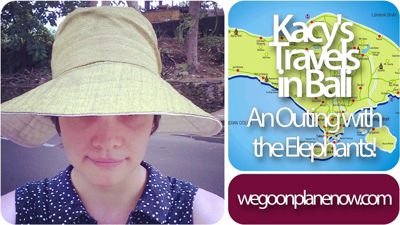 An Outing with the Elephants in Bali - Kacy in Indonesia : wgopn 014