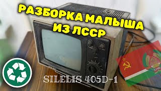 Разборка маленького телевизора из Литовской ССР. Что можно найти в SILELIS 405 D-1.