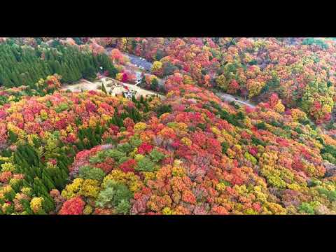 中国山地の紅葉　広島　紅葉　ドローン空撮　 4K 綺麗　絶景　DJI   ドローン