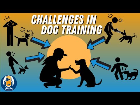 Video: Ask A Dog Trainer: How to Help Dogs that Fixate