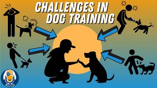 Fix Dog Training and Behavior Problems Before They Happen #93